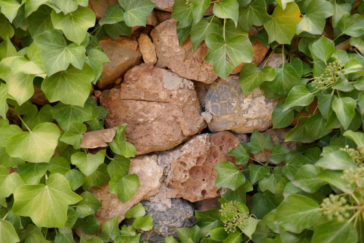 La Casa De Piedra, Una Ventana Al Paraiso Matet Exterior foto